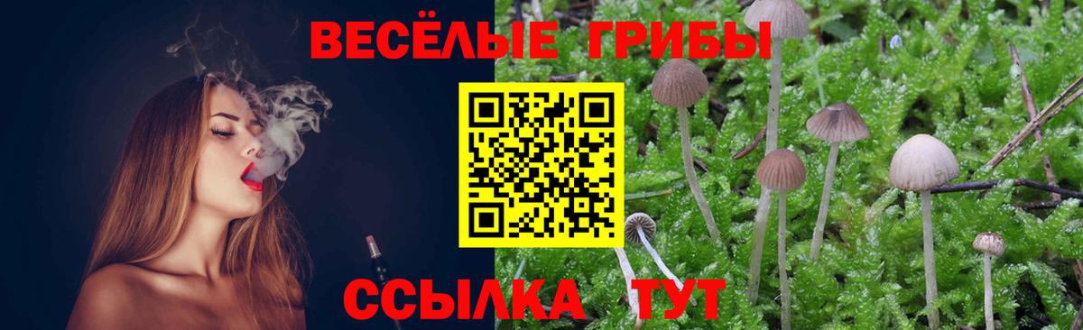 Галлюциногенные грибы Psilocybine cubensis Сарапул